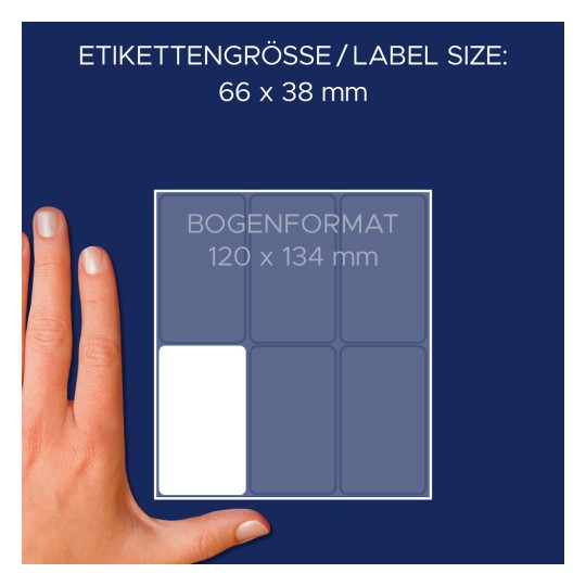 Obrázek zobrazuje ruku vedle diagramu rozměrů štítku, který udává rozměry 66 x 38 mm a formát archu 120 x 134 mm.