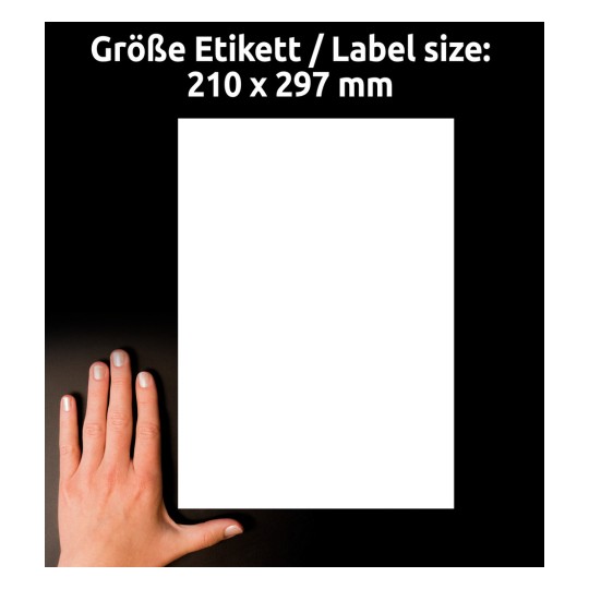 Obrázek zobrazuje ruku vedle prázdného listu papíru o rozměrech 210 x 297 mm, uvedených v němčině a angličtině.