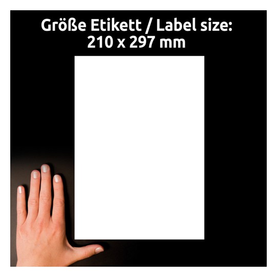 Srovnání velikosti s rukou, Článek: L9001-10, list zadních skleněných štítků, Formát: 210 x 297 mm, Barva: Bílá?