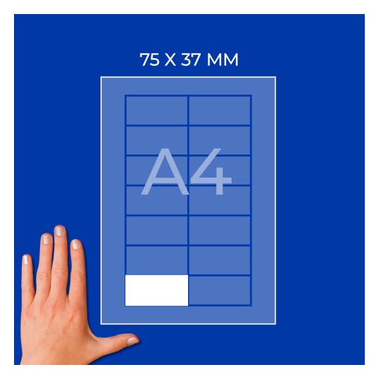 Diagram na listu A4 se štítkem 75 × 37 mm a rukou vlevo dole?